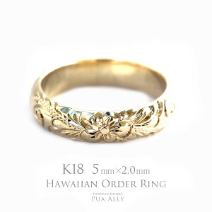 y1{iłzyK18 o 5mm 2mmygfBVizI[_[OznCAWG[ puaally vAA w }bW 18 S[h 蒤 a  v[g J