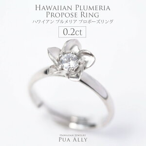 ynCA v|[YO 0.2ct vAzTvCY v|[Y  nCAWG[ Hawaiian jewelry puaally vAA 蕨 vA _Ch a v[g  