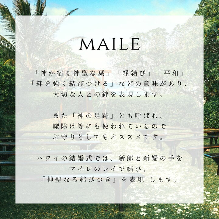 New カフリンクス メンズ カフスボタン アクセサリー Cincinnati Bengals Cufflinks Orange Fucoa Cl New カフリンクス メンズ カフスボタン アクセサリー Cincinnati Bengals Cufflinks Orange Fucoa Cl