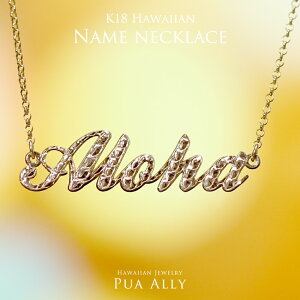 yK18(18) nCAl[lbNXz`F[ vAA 蒤 I[_[Ch l[ CjV vA At@xbg v[g  lbNX nCAWG[ 