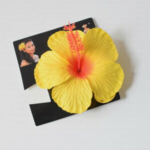 ハワイアン 髪飾り その他のアクセサリーの人気商品 通販 価格比較 価格 Com