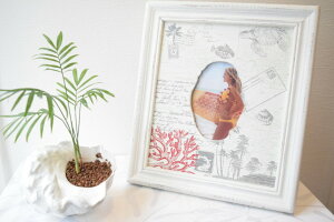 yzyZODAXzytHgt[z photo frame ʐ^t[ ʐ^ ` u 썑 HAWAII CeA ][g COCeA A   v[g Mtg zj