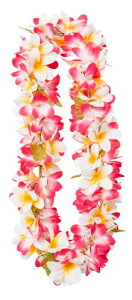 yt_Xzt_XC zCg CG[ sN 95cm K \ t Xe[W ANZT[ C nCAC t[C    G t hula nCrXJX 