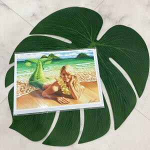 ynCA J[hz o[Xf[ O[eBOJ[h ^[ A[gsN`[ g HAWAII nC G CeA }[Ch jJCr[` GARRY PALM