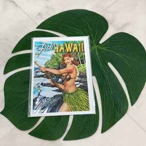 ynCA J[hz O[eBOJ[h ^[ A[gsN`[ g HAWAII nC G CeA nC ubNTh r[` tK[ ނ COA