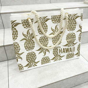 ynCAzg[gobO VbsOobO nC zm HAWAII pCibv S[h zCg nCA  t@bV v[g ko