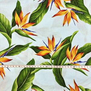 ynCAzyTrendtex FabricsznCA Jbgn  114cm×0.5yd F u[  O[  IW nCA [t nhCh | z t@ubN nC HAWAII COA