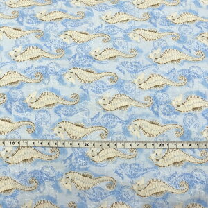 ynCAzynCAvgzn Jbgn 0.5[h ^cmIgVS u[ F  nCA nC KAUAI HAWAII COi z t@ubN  CeA nh