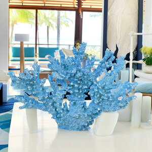 yHawaiiG݁zyTSŁzIuWF TS CeA u[ C u nC r[` An v[g COA u mu