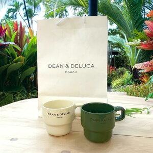 �y�n���C����z�yDEAN&DELUCA HAWAII�z �V���b�v�o�b�O �y�[�p�[�o�b�O �f�B�[�����f���[�J �u���b�N �z���C�g �J�J�A�R ���b�c�J�[���g�� HAWAII �C�O���� �n���C�����t�� �C�O�G�� �v���[���g �M