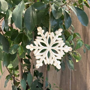 yNX}XI[igzؐ yNX}Xz I[ig y̌z   CeA ~ nC COi COA C|[g v[g 12.5cm × 12.5cm ko