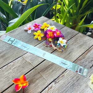 ynCAzyCj[hzt_X C Cp Oj[h t[CCLO Cj Xe[W \ ANZT[  p[eB[nCA t hula n