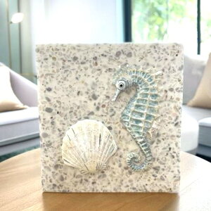 �y���������z�y�e�B�b�V���{�b�N�X�z�^�c�m�I�g�V�S �V�F�� �L�� shell Seahorse �C �e�B�b�V���P�[�X �z���C�g �u���[�O���[�� �o�X���[�� ���r���O �e�B�b�V���J�o�[ �e�B�b�V���{�b�N�X �y