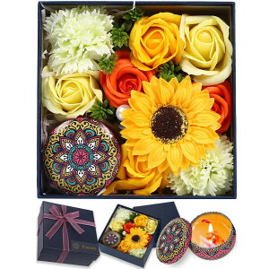 yananfړXEvďCz \[vt[ {bNX A}Lh Mtg Zbg  ސEj  \[v t[ t[{bNX t[\[v Ђ܂ j җj 