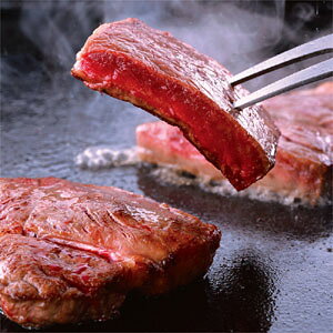 F ߍ] Xe[Lysz a p OMtg  aO DK ʂȓ̂y