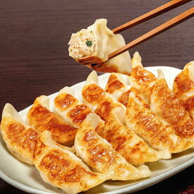宇都宮餃子会加盟とんきっき餃子（2025年3月リニューアル）【代引不可】