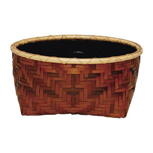 Yl@|@xDʁ@c֍@@@pi@zr[