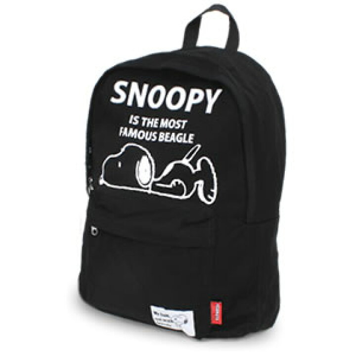 楽天市場】スヌーピー/SNOOPY スヌーピー刺繍帆布Dパック キャンバス 