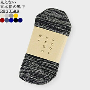 �y�N�[�|����20%OFF�z�����Ȃ��ܖ{�w�̌C�� �_�}�X�L�[�i/DAMASQUINA�y���M�����[�z5�{�w�\�b�N�X 5�{�w�C���yREGULAR�z700086156 ���f�B�[�X �����Y�y�R���r�j���\�z�y2�_�܂Ń��[���։\�z