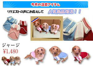 犬 ジャージ 犬用ペット服の人気商品 通販 価格比較 価格 Com