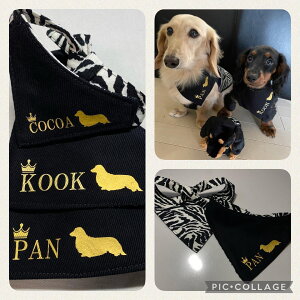 _bNXVGbgo_iO܂@~j`A_bNX@S[h@X^C@v[g@̕@O