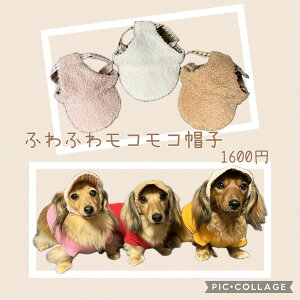 ӂӂXq(O͓܂)@Xq@̕@g@̖Xq@~p@