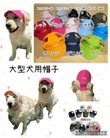 大型犬用名前入り帽子3L,4L、5Lサイズわんちゃんのお名前入ります 犬の帽子　犬服 　人気犬服　被り物　ゴールデンレトリーバー　大型犬　犬の帽子大きいサイズ　刺繍