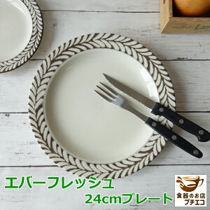Go[tbV 16cm 19cm 24cm v[g 21cm pX^M  J[M W H@Ή Z { k [M mH ڂ   _ 킢 V`[M X[v