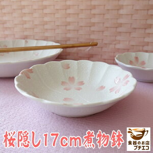 B 13cm a {E17cm T_{E W H@Ή { Z  ϕ H ~j M Ƃ񂷂  M 킢 JCC  lC  _  1l