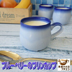 u[x[ vJbv  120ml W H@Ή Z { fU[gJbv [[Jbv [XJbv  킢  lC  Ԍ^ Ɩp  Ďg