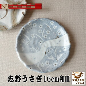 �a�H�� ���M 16cm �a�M ���� �u�삤���� �����W �� �H��� �Ή� ���Z�� ���{�� ���M �������� ������� ���킢�� ���_�� �a�َq �a�� ���� ��蕪�� �l�C ���{�� �ʔ� ���M 16�Z���` �Ƃ�M �P