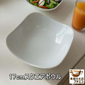 XNGA 17cm {E dqW H@Ή Z { T_{E pM lp VA{E 唫  킢  H JtFH ƖpH lC X^CbV