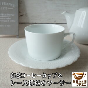  R[q[Jbv [X҂ \[T[ 200ml  dqW H@Ή Z {  킢 󂯎M َq zCg Ɩp qp  \[T[t  k