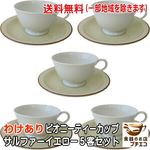  킯 eB[Jbv Tt@[CG[ \[T[ 5q Zbg 180ml ݌  L IWyR Jbv W H@Ή y  k   lC 