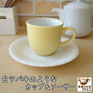 R[q[Jbv 160ml coL Jbv \[T[ Zbg W  H@ Ή Z {  CG[ F  킢   lC _  ԕ  \[T[