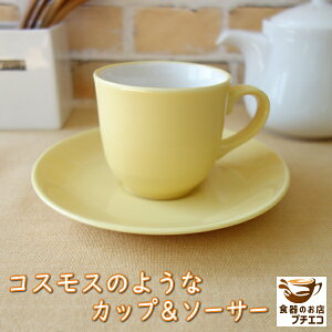R[q[Jbv 160ml RXX Jbv \[T[ Zbg W  H@ Ή Z {  CG[ F  킢   lC _  ԕ  \[T[