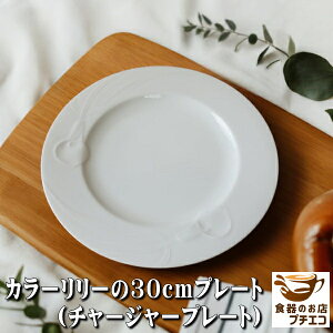 킯  M J[[ 30cm v[g dqW H@Ή Z { `[W[v[g AEgbg  mH 킢  lC  z[p[eB[