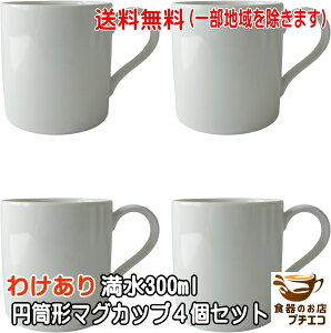  킯 ~` }OJbv 4 Zbg W H@Ή Z { AEgbg   }O 300ml At^k[eB[ JtF 킢 lC JCC |