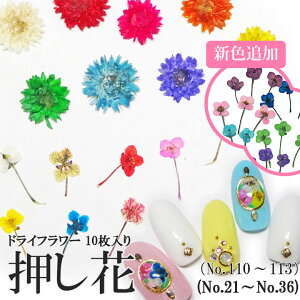  hCt[ i21-36E110-113j P[X 10