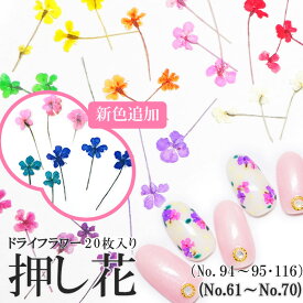 楽天市場 押し花 素材の通販