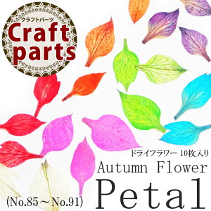  hCt[ 85-91E257-258 P[X 10