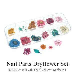 ネイル パーツ 押し花 ドライフラワー 12種セット