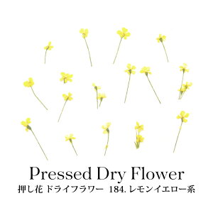  hCt[ 184.CG[n 20 P[X