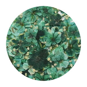 R  hCt[ 8~10 P[X lCp[c  lC p[c t[