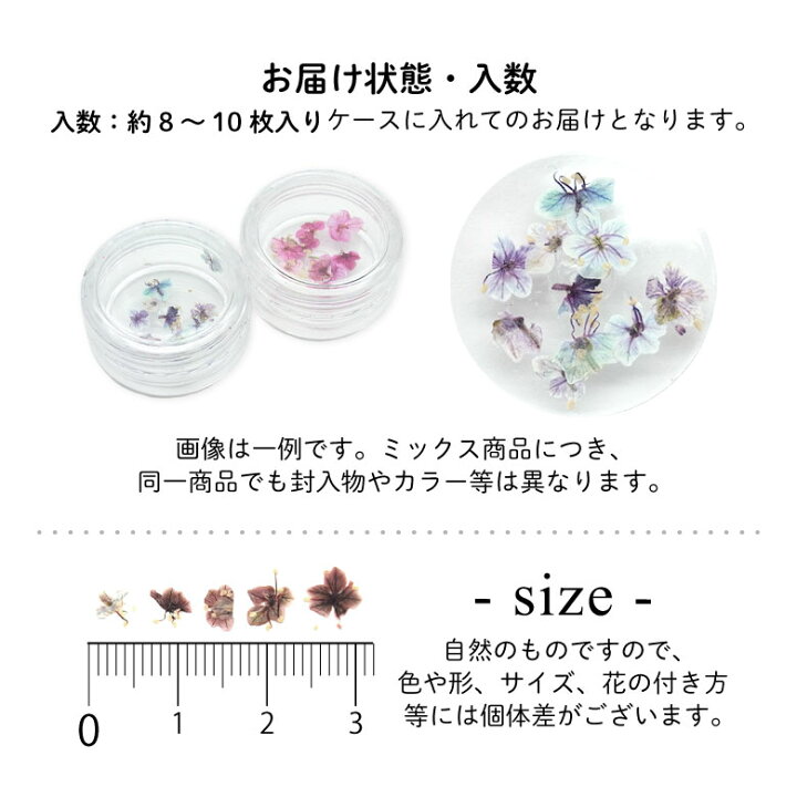 楽天市場】【フレーム 2個付き！】 儚げ もやもや ドライフラワー 8~10 