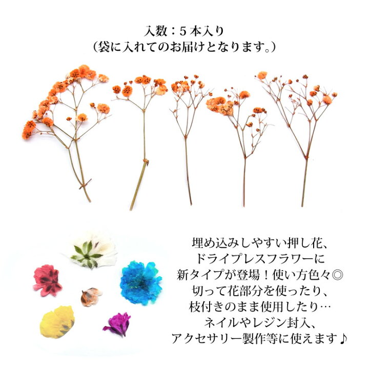 カラーを選べる！ほぼ全機種対応スマホケース】（着日指定不可）かすみ草ブーケの押し花スマホケース iPhone/Xperia/AQUOS/Galaxy等  - 【花＊花Gluck（はなはなぐりゅっけ）】- プレゼント＆ギフトのギフトモール かすみ草 押し花 いろいろカラフル