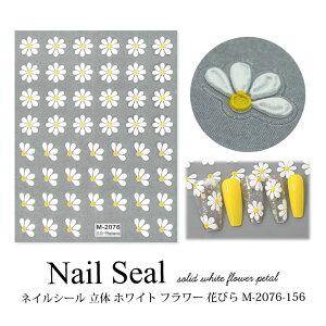 lCV[  zCg t[ Ԃт M-2076-156