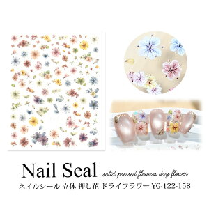 lCV[   hCt[ YG-122-158