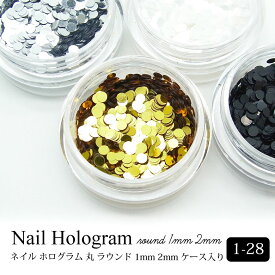 ネイル ホログラム 丸 ラウンド 1mm 2mm ケース入り 1-28