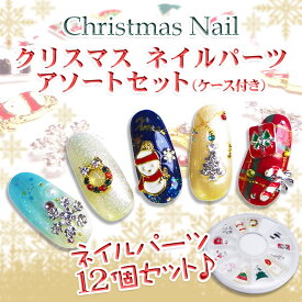 【50％OFF】クリスマスネイルパーツ　アソートセット（ケース付き）【ネイル/ジェル/ビジュー/ゴージャス/冬/雪】 **